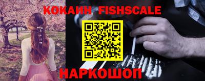 гашик Дубна
