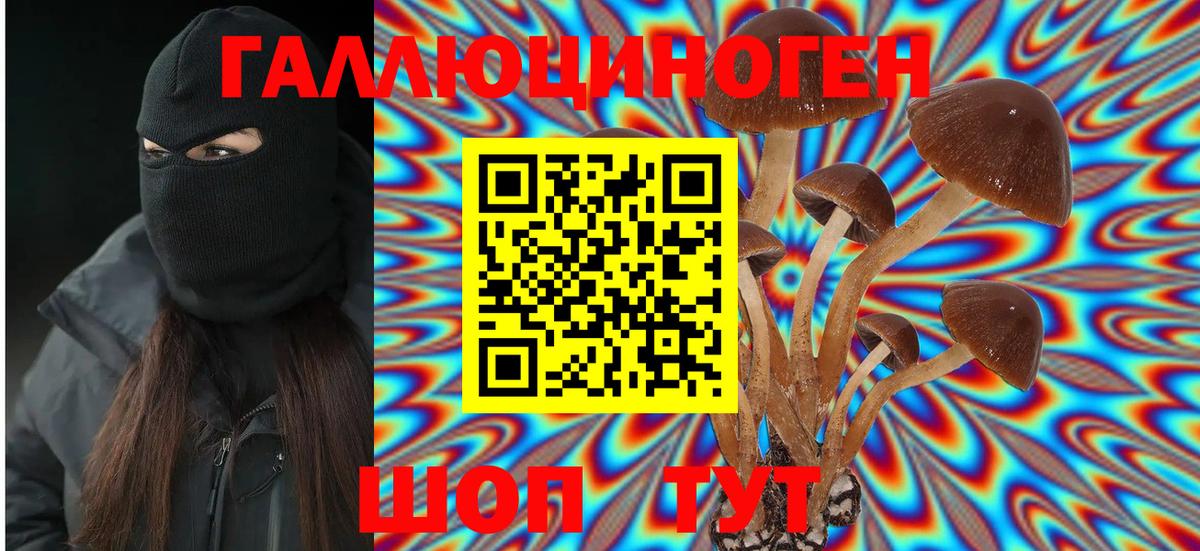 Мирный  Галлюциногенные грибы мицелий  наркошоп  Вход с VPN 
